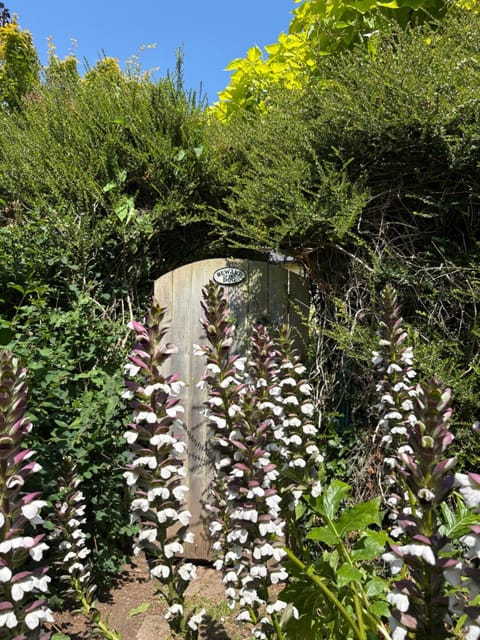 Historic Garden Flat Adjoining Central Park Apartment in Taunton