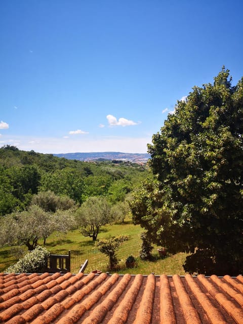 Natural landscape, Garden view, Sea view