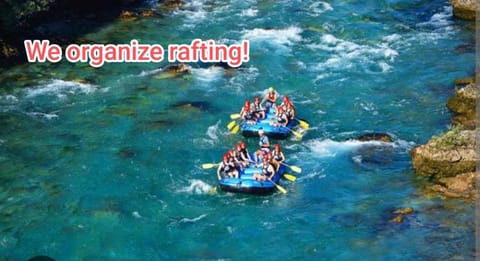 Apartment HOLIDAY LAKE - PIVA 2022 Apartment in Montenegro