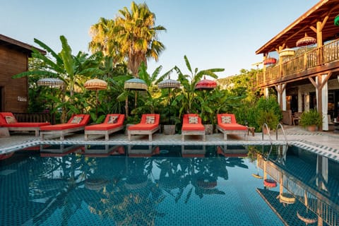 Pool view, Swimming pool