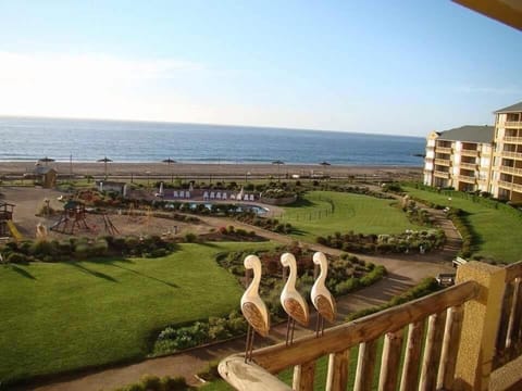 Garden view, Sea view