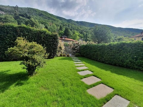 Patio, Garden, Garden view