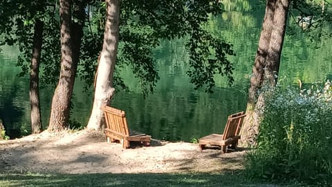 Natural landscape, River view