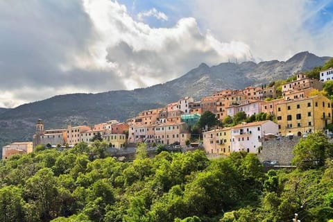 Dream house, 80M2, Fresco painting on the vault House in Tuscany