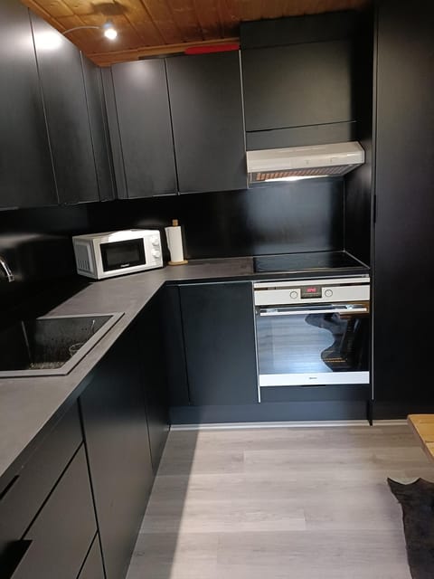 Villa Särkkä Chalet in Finland