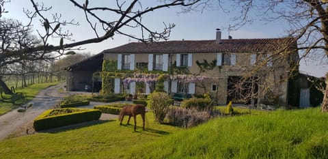 Property building, Garden, Garden view