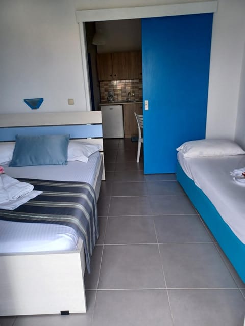 Fani Liakou Apartment in Halkidiki