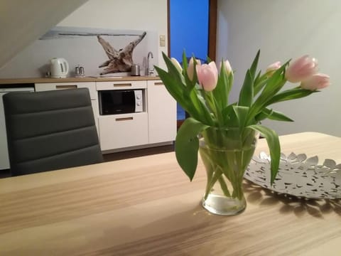 Kitchen or kitchenette, minibar, stove