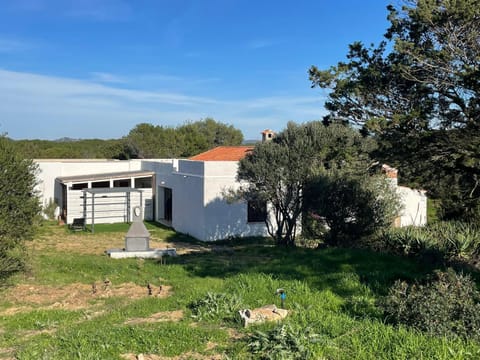 Property building, Natural landscape, Garden, Garden view