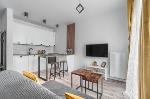 Kitchen or kitchenette, Living room, Seating area, Dining area, stove