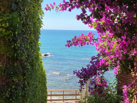 Natural landscape, Beach, Sea view