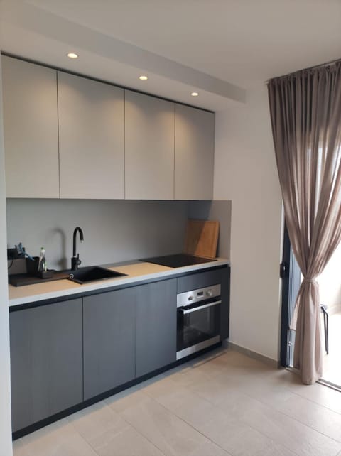 Kitchen or kitchenette, dishwasher, stove