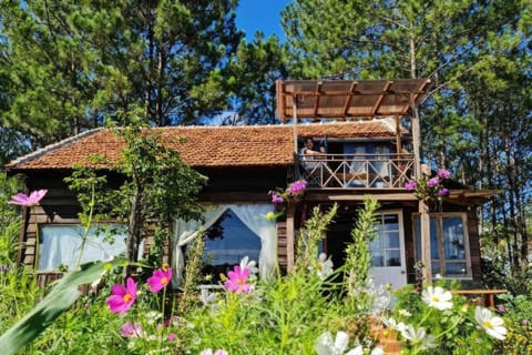 Property building, Garden, Garden view