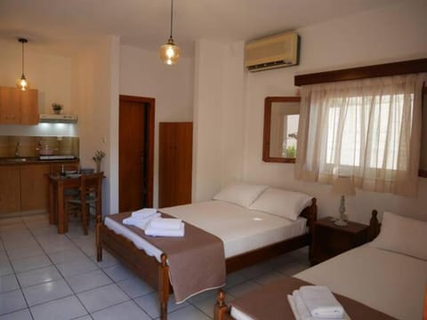 Chrysoula’s Welcoming Triple Room with Yard Apartment in Islands