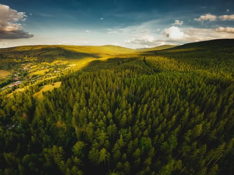 Spring, Natural landscape, Bird's eye view, Summer, Garden, Hiking, Cycling, On site, Mountain view
