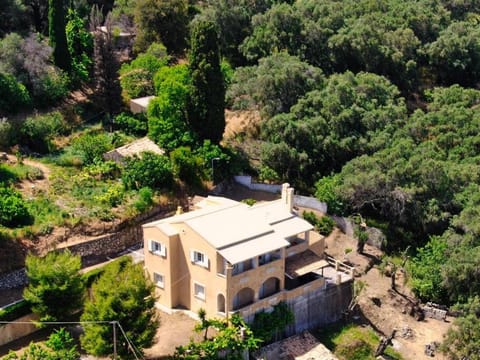 Property building, Natural landscape, Bird's eye view, Garden