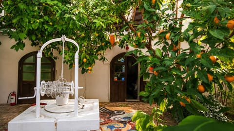 Patio, Spring, Day, Garden, Garden view