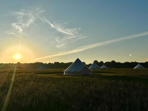 Forest Edge Glamping Luxury tent in East Devon District