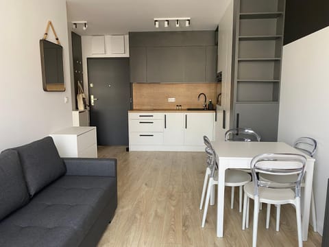 Kitchen or kitchenette, Living room, Dining area