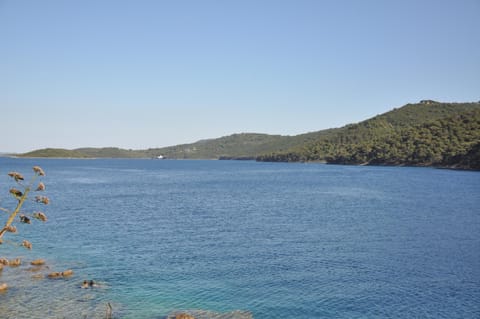 Romantic Boxavia Apartment in Zadar County