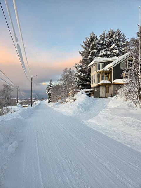 Senja, Skaland apartment Apartment in Nordland, Norway