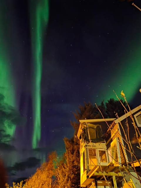 Senja, Skaland apartment Apartment in Nordland, Norway