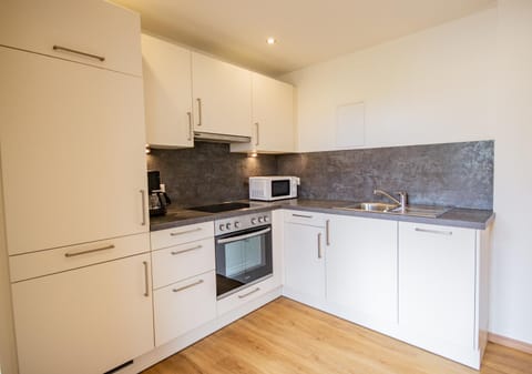 Kitchen or kitchenette, dishwasher