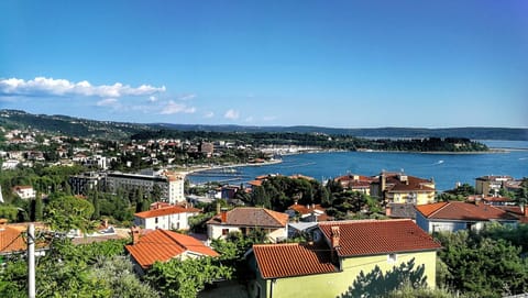 City view
