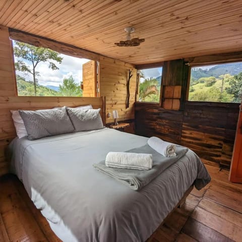 Bed, Photo of the whole room