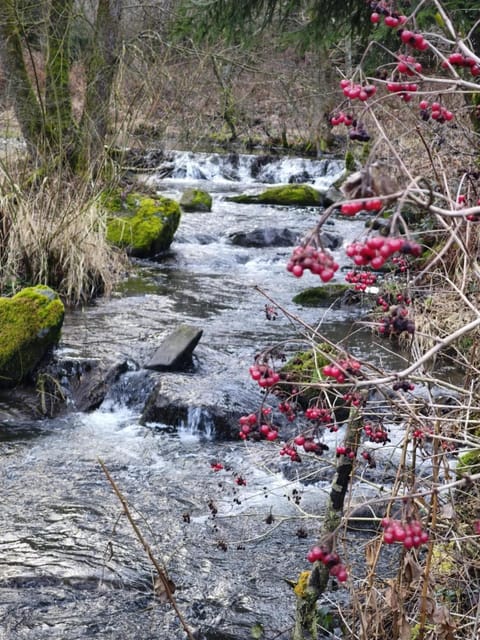 La Clé des Champs House in Wallonia, Belgium