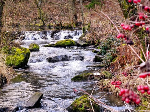 La Clé des Champs House in Wallonia, Belgium