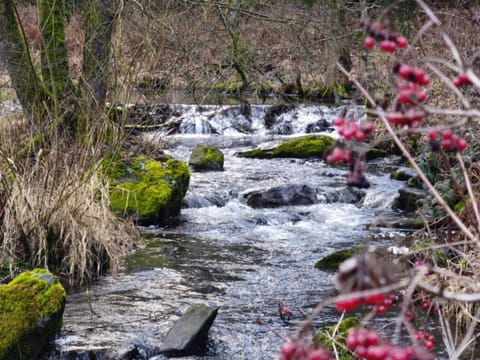 La Clé des Champs House in Wallonia, Belgium
