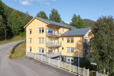 Property building, Summer
