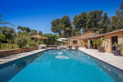 Patio, Garden, Garden view, Swimming pool