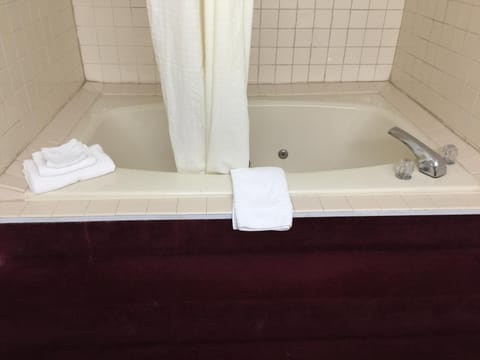 Lake Tree Inn & Suites Hotel in Marion