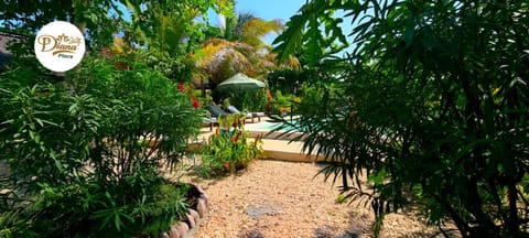 Day, Garden view