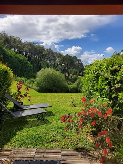 Natural landscape, Garden, Garden view