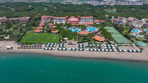 Property building, Bird's eye view