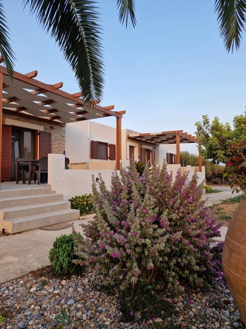 Property building, Spring, Day, Garden, Garden view