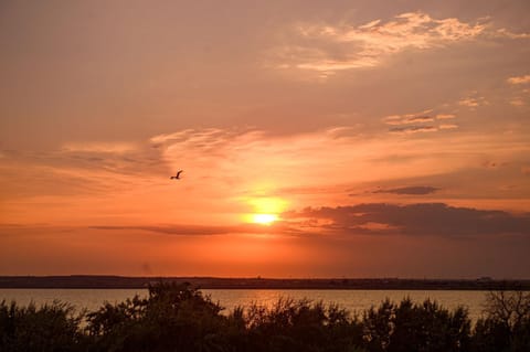 Natural landscape, Balcony/Terrace, Lake view, Sunset