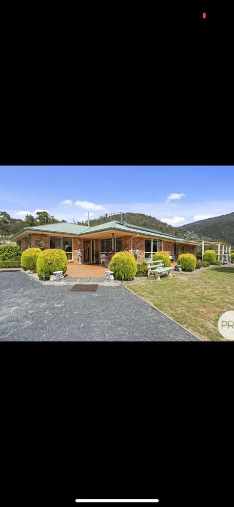 Property building, Day, Garden