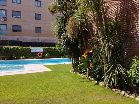 Patio, Garden, Garden view