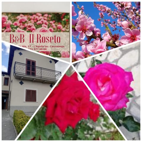 Il Roseto Bed and Breakfast in L'Aquila