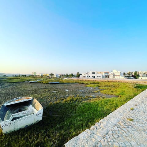 Natural landscape