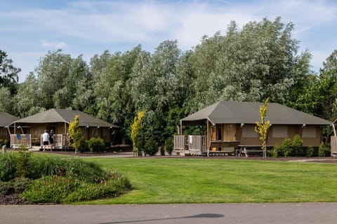 Day, Natural landscape, Garden
