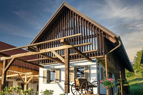 Property building, Facade/entrance, View (from property/room), Pets, Sunrise, Inner courtyard view