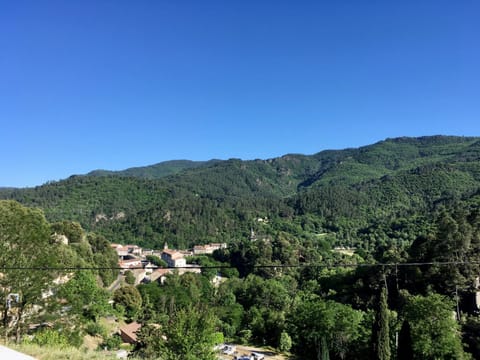 Mountain view