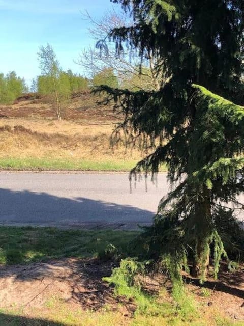 Maren's apartment on Randbøl Heath Apartment in Egtved