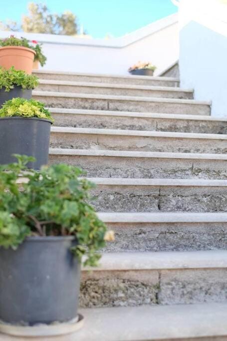 Vranadika Apartment in Islands