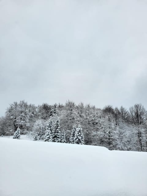 Apartments Matovina Apartment in Lika-Senj County